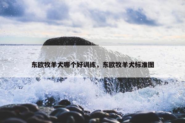 东欧牧羊犬哪个好训练，东欧牧羊犬标准图