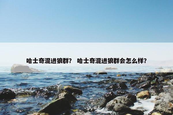 哈士奇混进狼群？ 哈士奇混进狼群会怎么样？