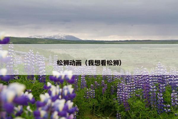 松狮动画（我想看松狮）