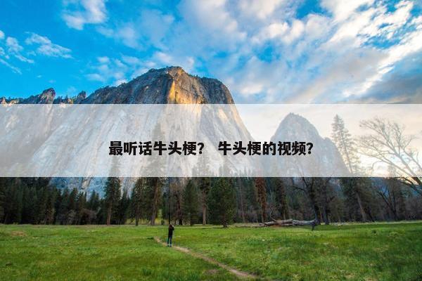 最听话牛头梗？ 牛头梗的视频？