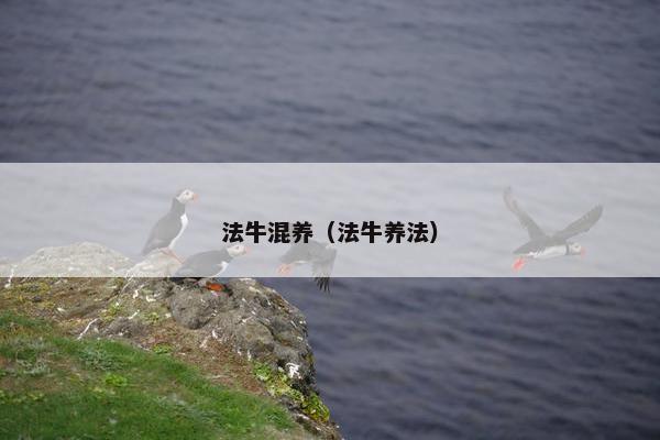 法牛混养（法牛养法）