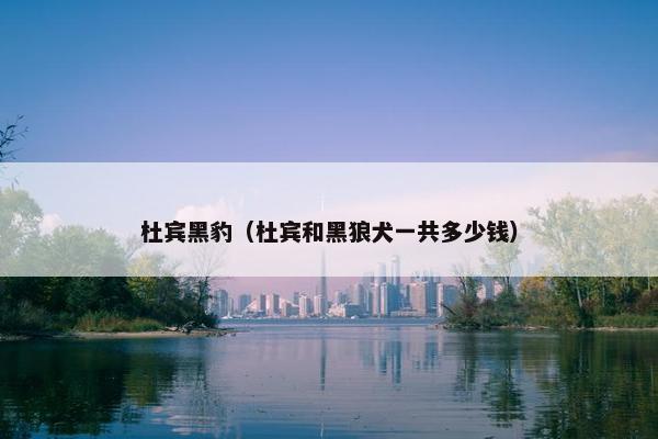 杜宾黑豹（杜宾和黑狼犬一共多少钱）