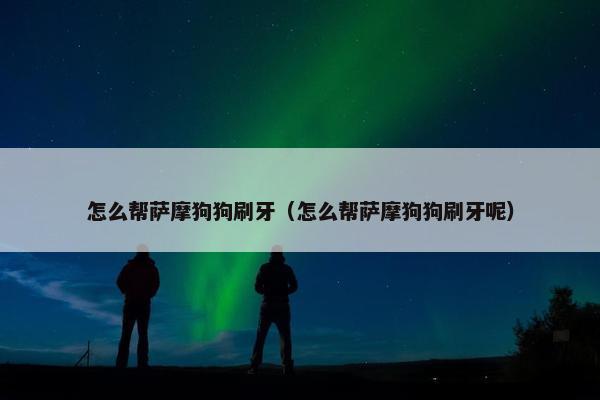 怎么帮萨摩狗狗刷牙（怎么帮萨摩狗狗刷牙呢）