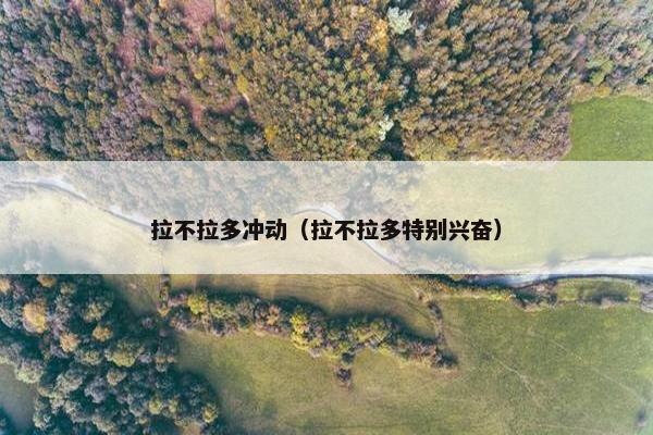 拉不拉多冲动（拉不拉多特别兴奋）