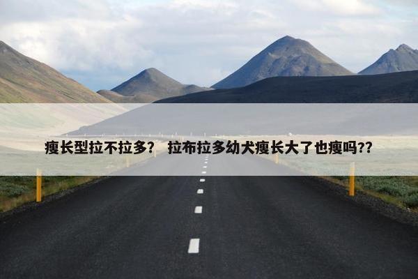 瘦长型拉不拉多？ 拉布拉多幼犬瘦长大了也瘦吗?？