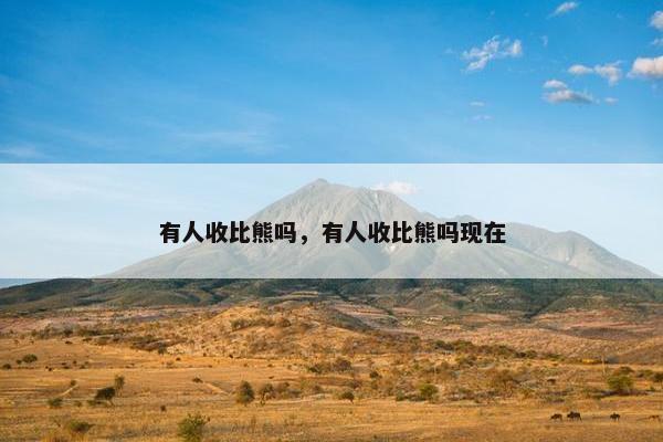 有人收比熊吗，有人收比熊吗现在