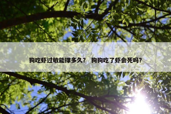 狗吃虾过敏能撑多久？ 狗狗吃了虾会死吗？