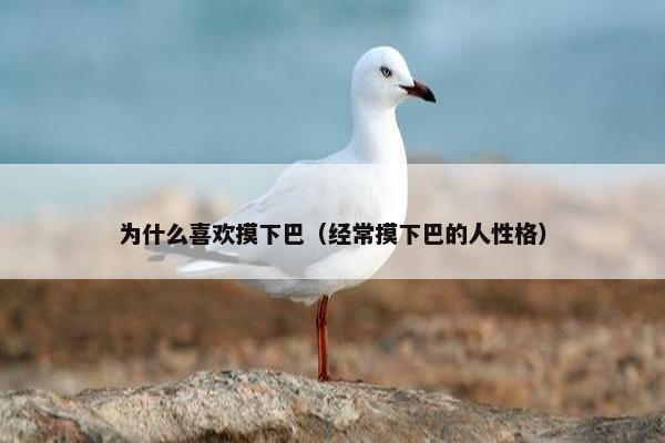 为什么喜欢摸下巴（经常摸下巴的人性格）