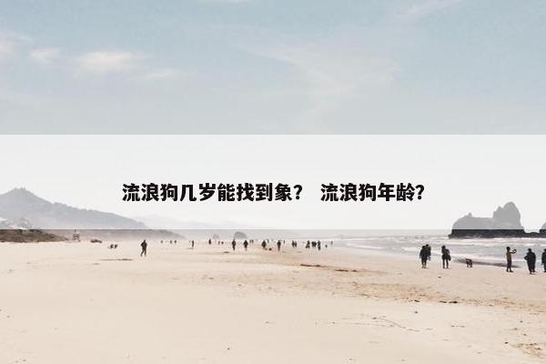 流浪狗几岁能找到象？ 流浪狗年龄？