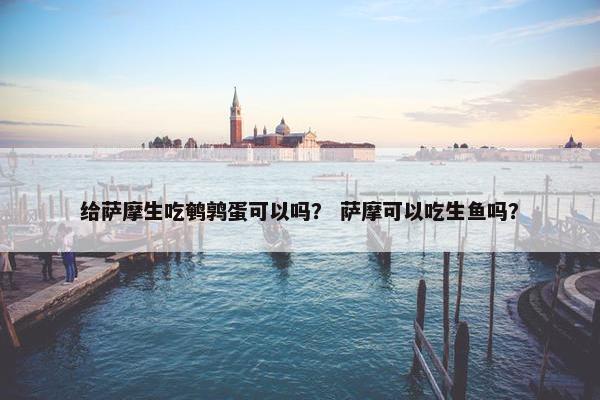 给萨摩生吃鹌鹑蛋可以吗？ 萨摩可以吃生鱼吗？