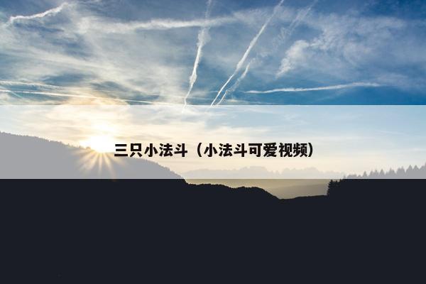 三只小法斗（小法斗可爱视频）