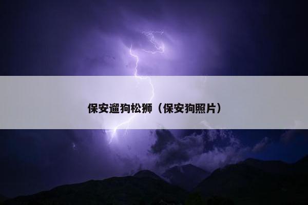 保安遛狗松狮（保安狗照片）