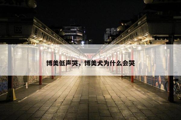博美低声哭，博美犬为什么会哭