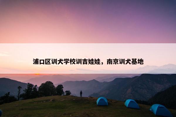 浦口区训犬学校训吉娃娃，南京训犬基地