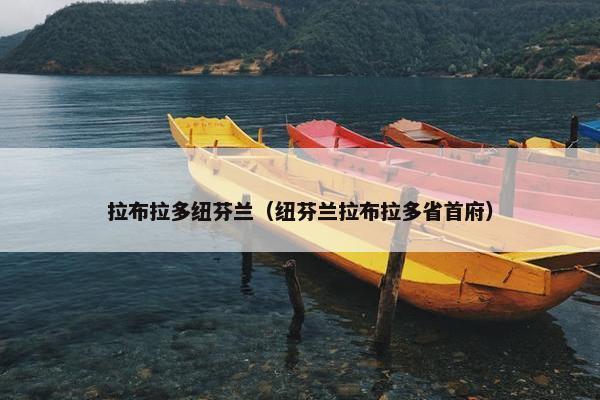 拉布拉多纽芬兰（纽芬兰拉布拉多省首府）