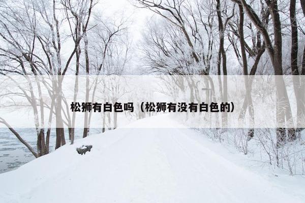 松狮有白色吗（松狮有没有白色的）