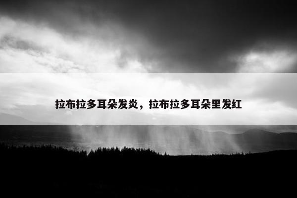拉布拉多耳朵发炎，拉布拉多耳朵里发红