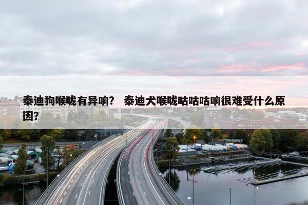 泰迪狗喉咙有异响？ 泰迪犬喉咙咕咕咕响很难受什么原因？