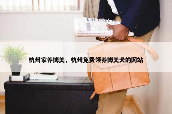 杭州家养博美，杭州免费领养博美犬的网站