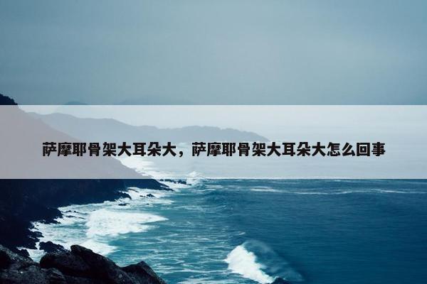 萨摩耶骨架大耳朵大，萨摩耶骨架大耳朵大怎么回事