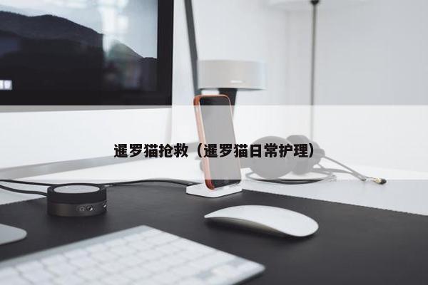 暹罗猫抢救（暹罗猫日常护理）