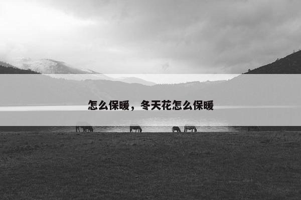 怎么保暖，冬天花怎么保暖