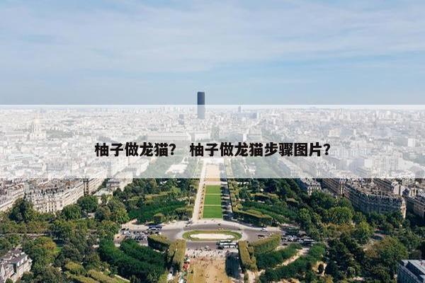 柚子做龙猫？ 柚子做龙猫步骤图片？
