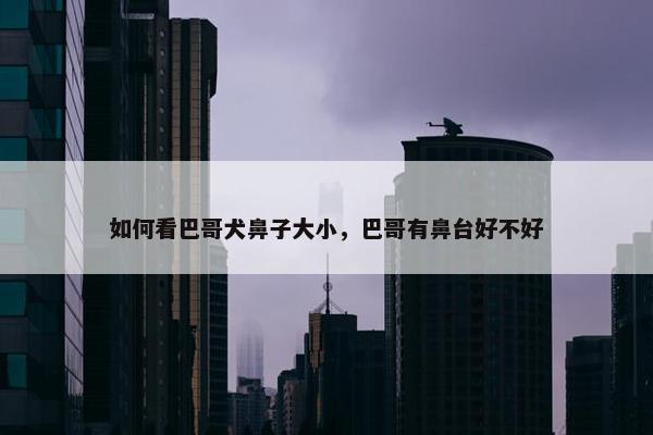 如何看巴哥犬鼻子大小，巴哥有鼻台好不好