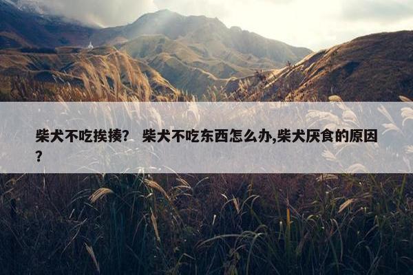 柴犬不吃挨揍？ 柴犬不吃东西怎么办,柴犬厌食的原因？