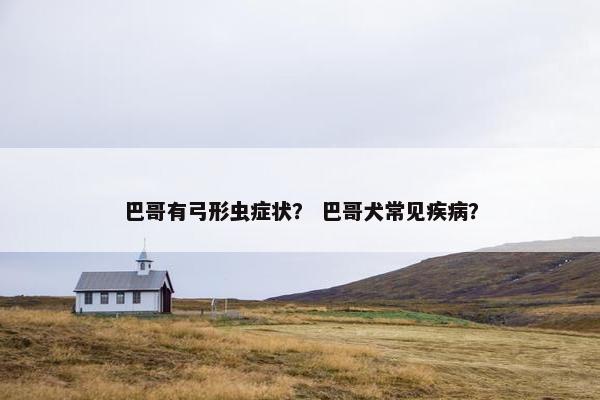 巴哥有弓形虫症状？ 巴哥犬常见疾病？