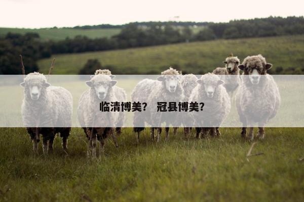 临清博美？ 冠县博美？