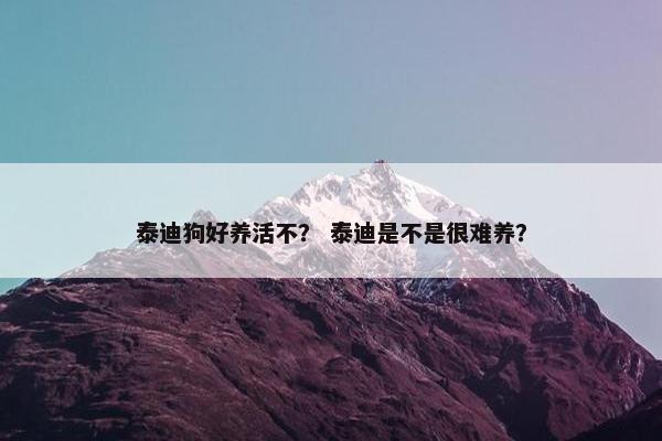 泰迪狗好养活不？ 泰迪是不是很难养？