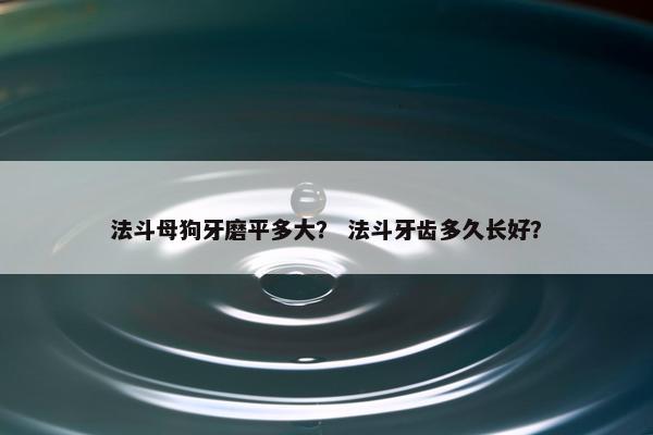 法斗母狗牙磨平多大？ 法斗牙齿多久长好？