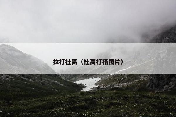 拉打杜高（杜高打猎图片）