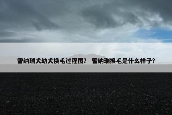 雪纳瑞犬幼犬换毛过程图？ 雪纳瑞换毛是什么样子？