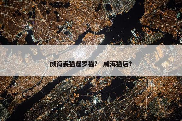 威海丢猫暹罗猫？ 威海猫店？