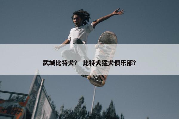 武城比特犬？ 比特犬猛犬俱乐部？