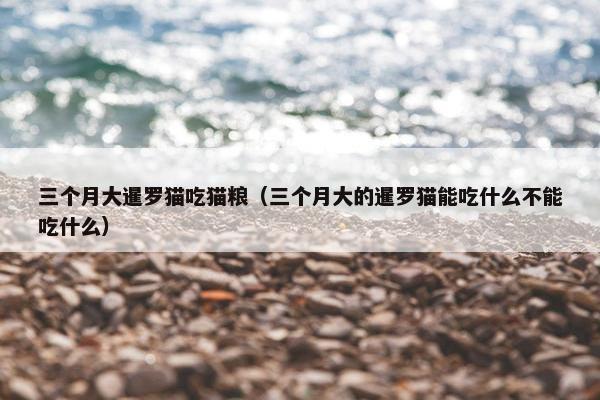 三个月大暹罗猫吃猫粮（三个月大的暹罗猫能吃什么不能吃什么）