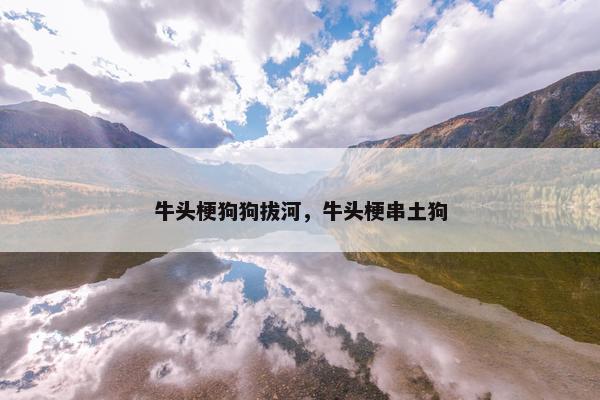 牛头梗狗狗拔河，牛头梗串土狗