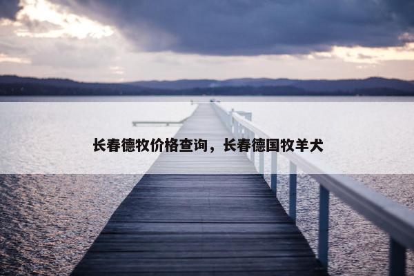 长春德牧价格查询，长春德国牧羊犬