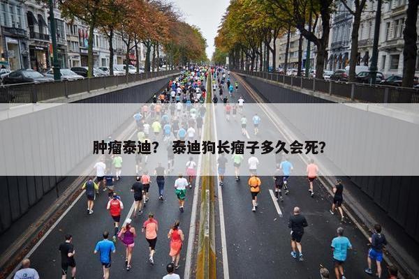 肿瘤泰迪？ 泰迪狗长瘤子多久会死？