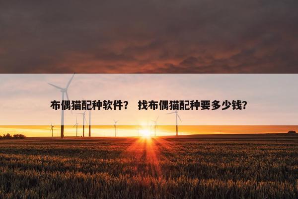 布偶猫配种软件？ 找布偶猫配种要多少钱？