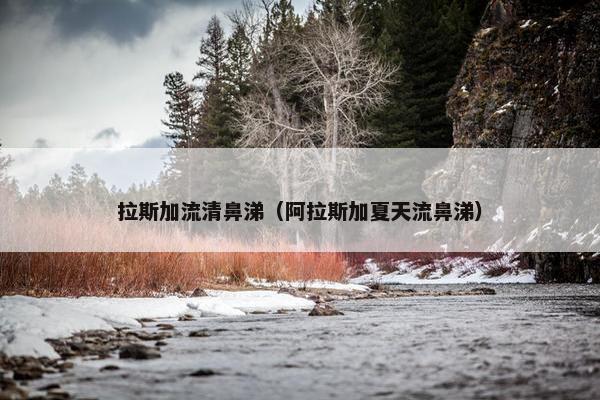 拉斯加流清鼻涕（阿拉斯加夏天流鼻涕）