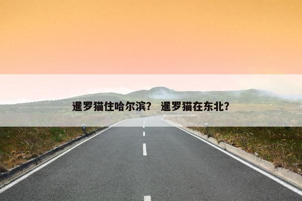 暹罗猫住哈尔滨？ 暹罗猫在东北？