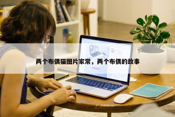 两个布偶猫图片家常，两个布偶的故事
