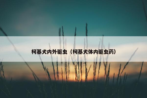 柯基犬内外驱虫（柯基犬体内驱虫药）
