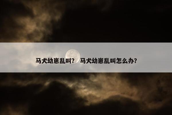 马犬幼崽乱叫？ 马犬幼崽乱叫怎么办？