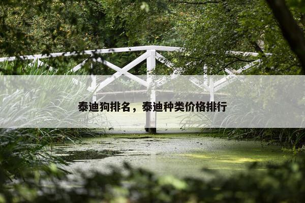 泰迪狗排名，泰迪种类价格排行