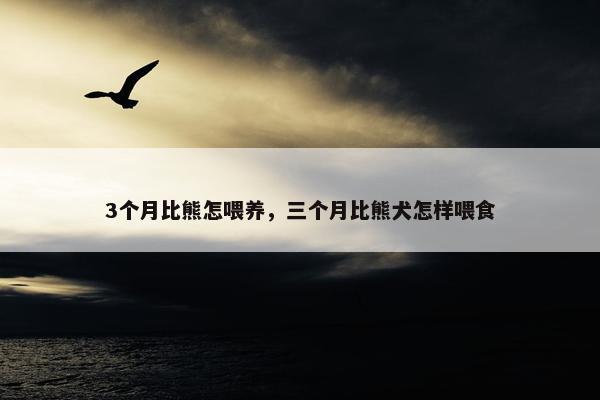 3个月比熊怎喂养，三个月比熊犬怎样喂食