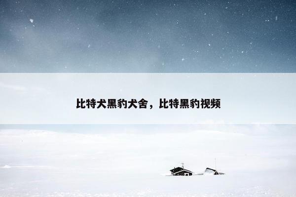 比特犬黑豹犬舍，比特黑豹视频
